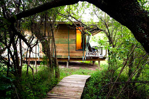 shire-eco-lodge-bush-shower-veiw