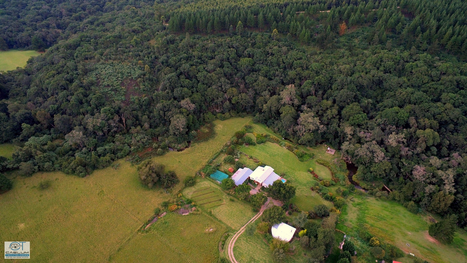 aerial pics hornbills forest getaway