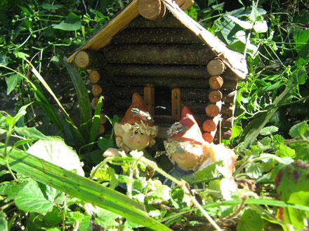 hornbills-forest-fairy