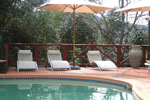 manderson-hotel-poolside