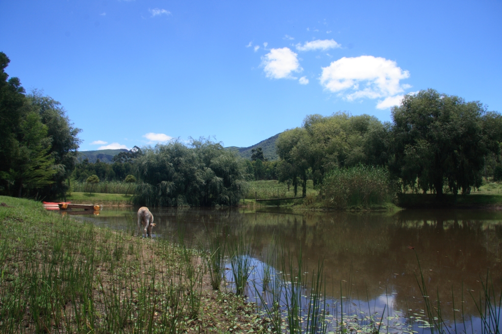 Wattlechop self-catering camping escape route